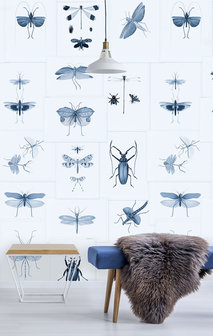 Entomologie blauw