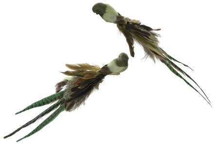 Vogel met clip gemengde veren staart groen  50cm, prijs is per stuk 