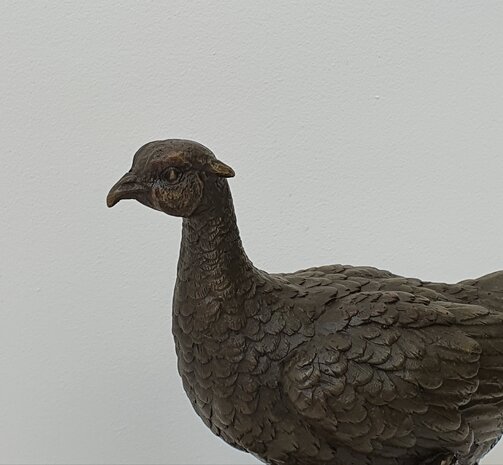 fazant pheasant brons op marble marmer  hunting
