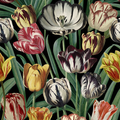 Tulpen behang