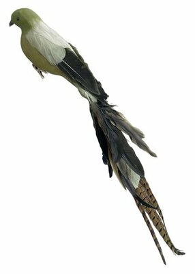 groene vogel lange veren staart met clip