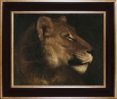 hoofd van een leeuwin op canvas doek in houten lijst ingelijst